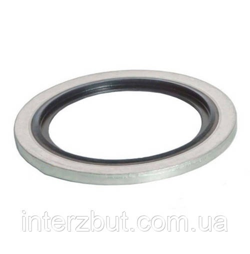 Металло-резиновое кольцо (1/2 BSP) Т21008 фото