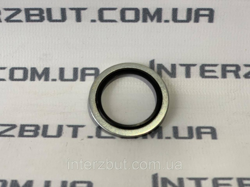 Металло-резиновое кольцо (3/8 BSP) Т21006 фото